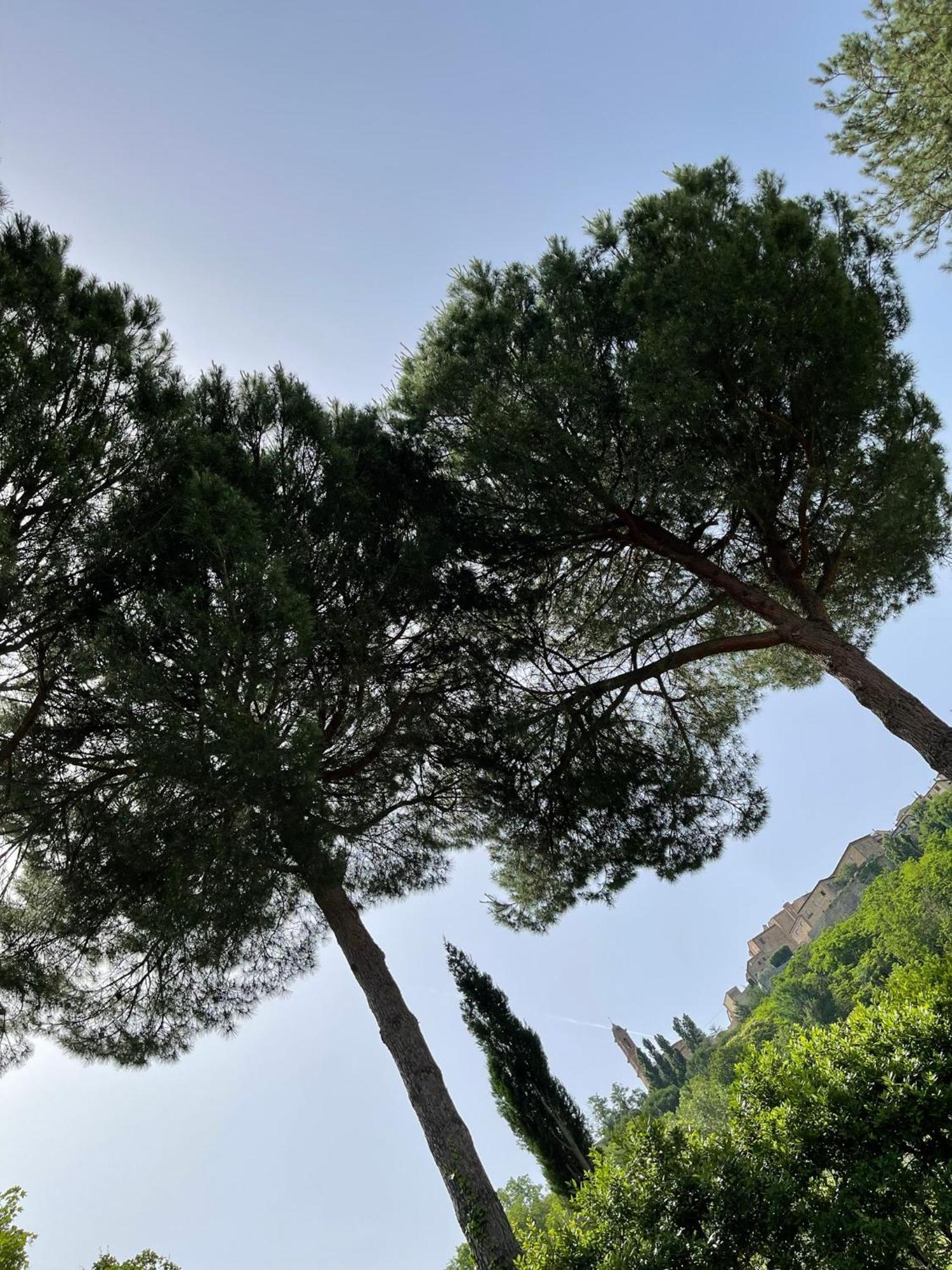 L' Aia Del Principe Villa Montepulciano Stazione Eksteriør bilde